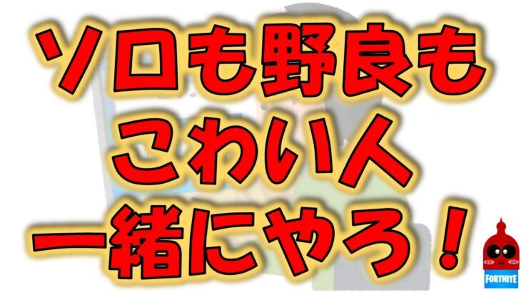 【フォートナイト/Fortnite】ソロでビクロイ難しい、、、