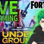 目指せエリート！ソロでランクマ【手元動画お試し配信】【フォートナイト/フォトナ/fortnite】【ライブ配信】