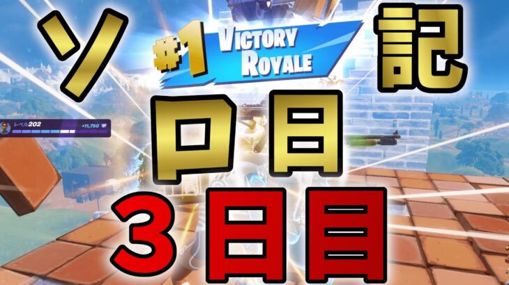 【フォートナイト】ソロ日記３日目！#fortnite #ソロ日記