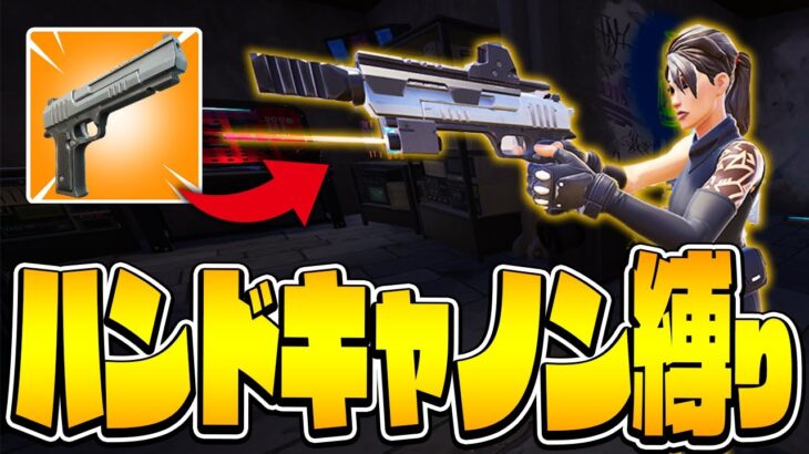 『フルカスタムハンキャ1丁』でソロランク勝てるのか?!【フォートナイト/Fortnite】