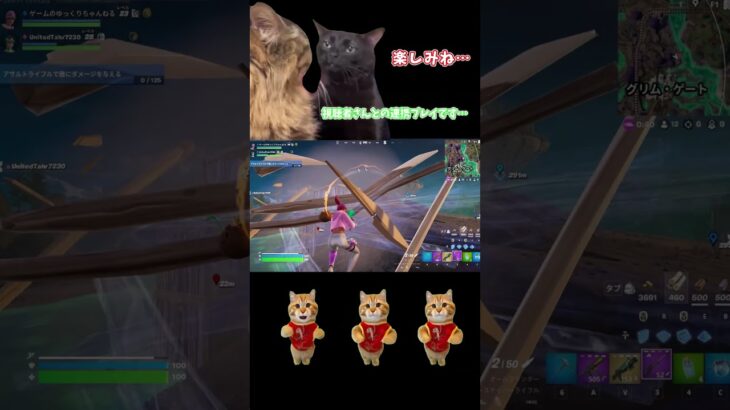 【ゆっくり実況】【再投稿】猫ミーム×フォートナイト　視聴者さんとデュオ #フォートナイト #チャプター５シーズン２ #shorts ＃猫ミーム