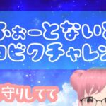 フォートナイト｜ソロビクチャレンジするから見守ってて配信🌈【FORTNITE Live】