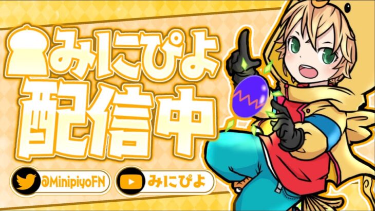 ソロキャッシュカップ予選→決勝!!!!!🐥🔥[Solo Victory Cup SESSION 5 ]【フォートナイト/FORTNITE】