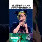 ビリー・アイリッシュに関する驚きの雑学 #フォートナイト #fortnite   #ビリーアイリッシュ   #billieeilish    #fortnitefestival