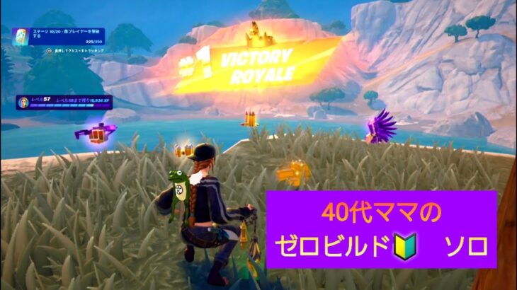 初心者ゼロビルド・ソロ（ハデスの鎖が強いと聞いて）BGM無し【Fortnite/フォートナイト】