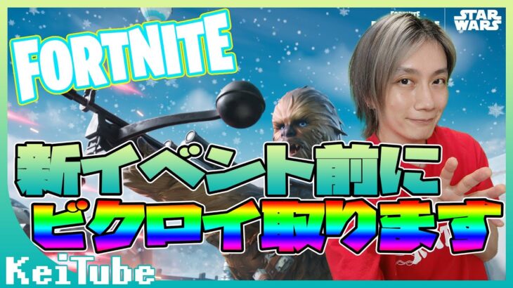 【ゼロビルド】フォートナイト/FORTNITE【ソロでビクロイ今夜こそいけそうな気がする】