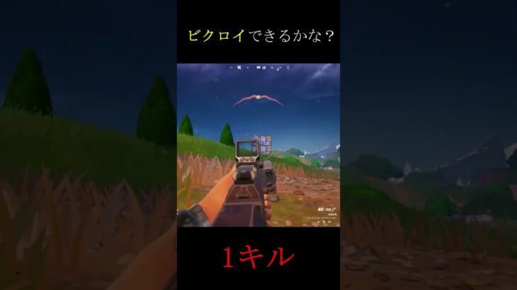 フォートナイト　ソロ　ビクロイ