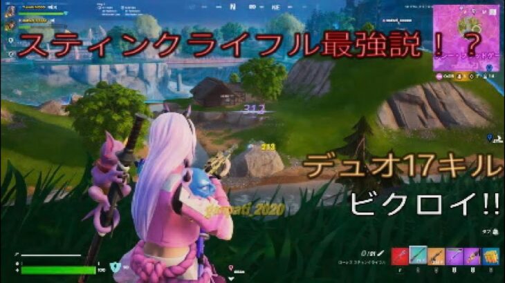 スティングライフル最強説⁉︎デュオ17キルビクロイ‼︎［フォートナイト/ゼロビルド］#248