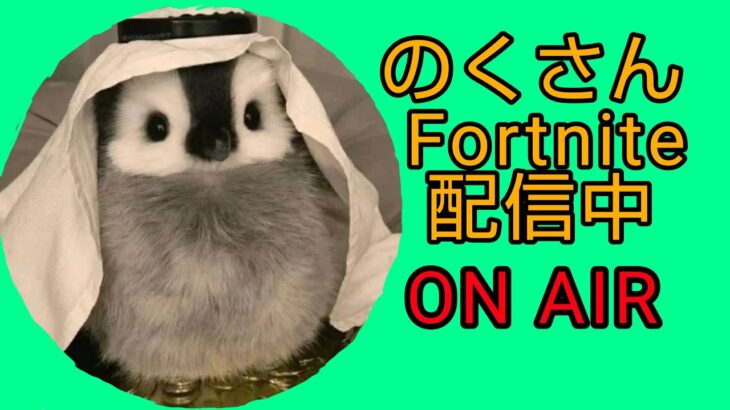 身内と2v2[フォートナイト/Fortnite]