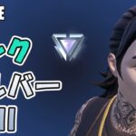 シルバー2 ランクバトルロイヤル ソロ チャプター6シーズン3【フォートナイト/Fortnite】