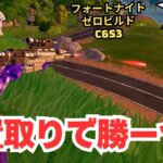 ポジション意識で勝利だゼロビルド C6S3 ソロ 20250513