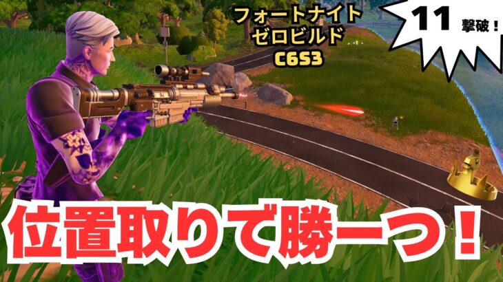 ポジション意識で勝利だゼロビルド C6S3 ソロ 20250513