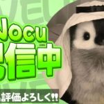 ランク [フォートナイト/Fortnite]