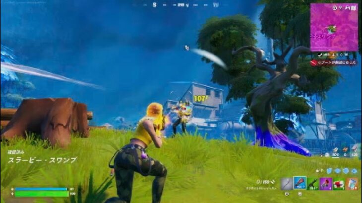 フォートナイト Fortnite 20250513 02 リロード ソロ ビクロイ PS5 DualSence Edge PAD