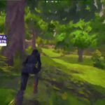 デュオランクする！コメント読みます！【フォートナイト/Fortnite】