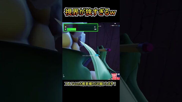 視界が狭すぎるｗｗ【フォートナイト/Fortnite】