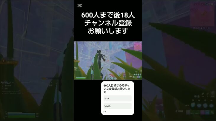 ソロキャッシュ [フォートナイト/Fortnite]
