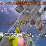 【Fortnite】 PS4Pro C6SM1 登録者伸びない泣　バトルロイヤルソロpart55#230    #チャンネル登録者数1500人#フォートナイト