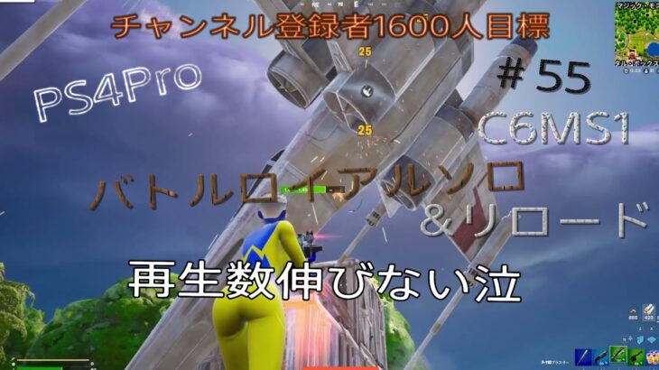 【Fortnite】 PS4Pro C6SM1 登録者伸びない泣　バトルロイヤルソロpart55#230    #チャンネル登録者数1500人#フォートナイト