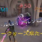 【Fortnite】 PS4Pro C6SM1ライトセーバー強すぎやろ。バトルロイヤルソロ＆リロードpart48#224    #チャンネル登録者数1500人#フォートナイト