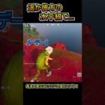 タイファイターが転がり過ぎてｗｗ【フォートナイト/Fortnite】#shorts
