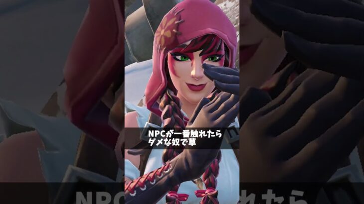 NPCと会話してる人【フォートナイト/Fortnite】