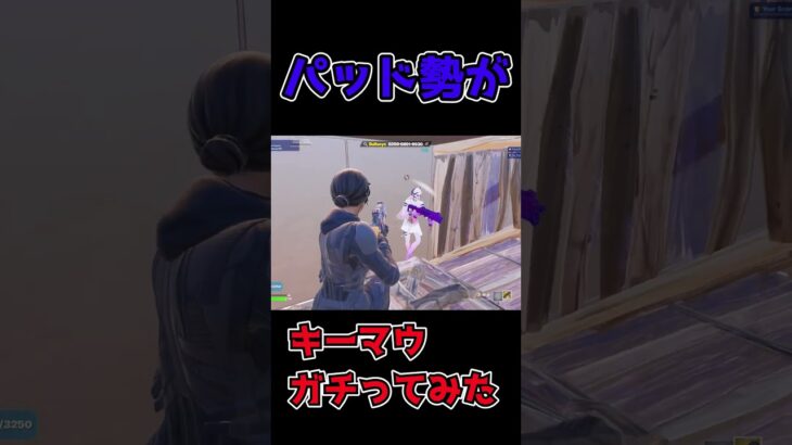【フォートナイト】PAD勢がキーマウガチるとこうなる