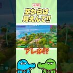空からは見えません。絶対に見えませんって！…なんで見えますのん？ #フォートナイト #fortnite #ゼロビルド #ゼロビルドソロ #ゲーム実況