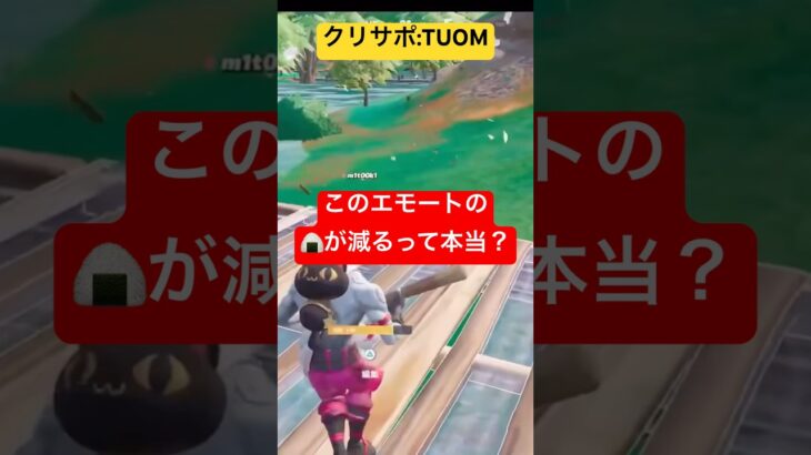 フォトナ配信(精霊いコスプレさせるバグ)切り抜き#フォートナイト #フォトナ #fortnite #おもしろ #バグ #検証 #真実 #エモート #バトロワ #デュオ #コスプレ #食べる #おにぎり