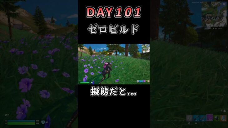 これなに!? #フォートナイト #fortnite #101日目 #未熟者 #c6s3 #ソロ #ゼロビルド