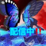 デュオランクカップ!!【フォートナイト/fortnite】