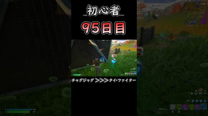 見えてたら取れるようにしてくれ… #フォートナイト #fortnite #95日目 #初心者 #c6s3 #バトロワ #ソロ