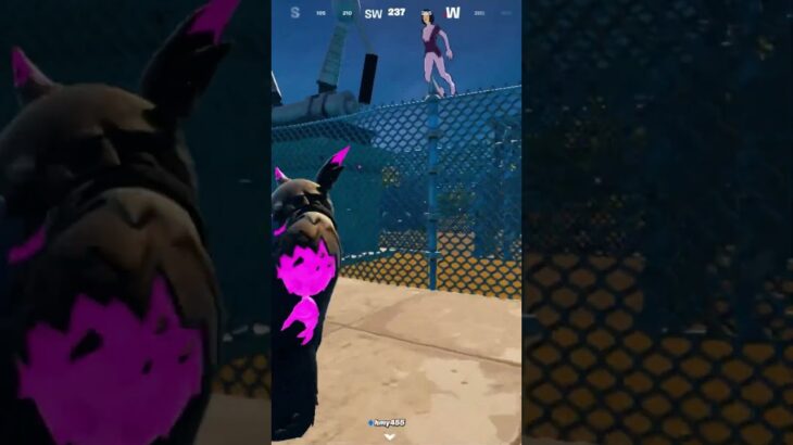 デュオもスクワッドも自分の命は自分で守る #fortnite #フォートナイト #music