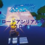 フォートナイトランクソロリロード。ビクロイ試合
