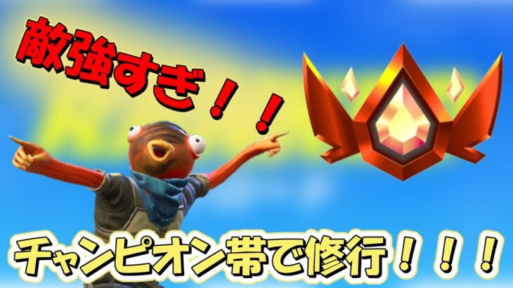 【フォートナイト】リロードソロランクのチャンピオン帯で対面修行！！！敵強すぎてまったく歯が立たない！【ゆっくり実況】
