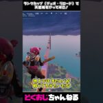 ランクカップ（デュオ・リロード）で天空城をやってみた！ #フォートナイト #FORTNITE  #天空城