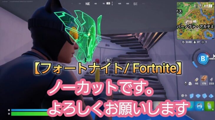ランク　ソロ　ビクロイしました　【FORTNITE/フォートナイト】