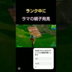 配信中にしていたリロードランクで親子ラマ発見！ [フォートナイト/Fortnite]