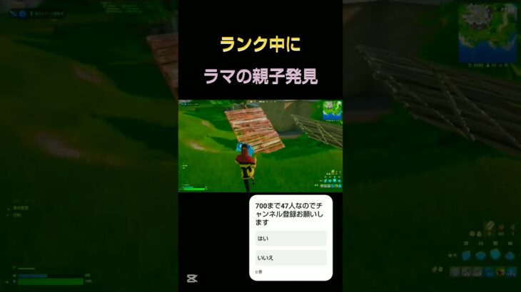 配信中にしていたリロードランクで親子ラマ発見！ [フォートナイト/Fortnite]