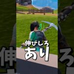 ネタ武器？ガチ武器？【フォートナイト/Fortnite】