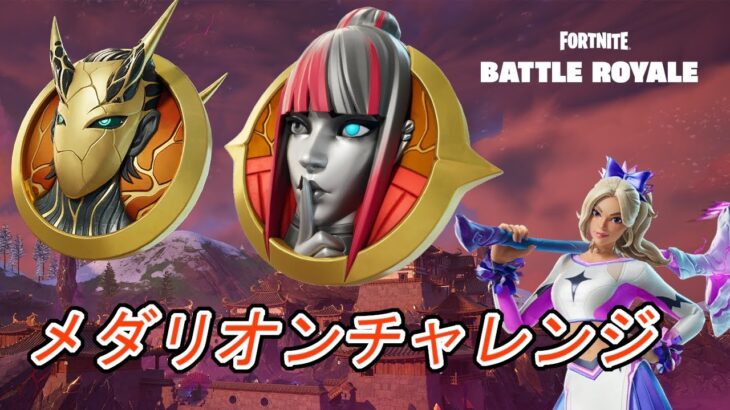 バトルロイヤルソロ　メダリオンチャレンジ！！！【フォートナイト/Fortnite】