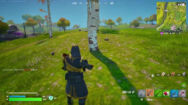 PS5 フォートナイト　ソロ　初心者