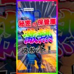 激アツ保管庫‼️レアチェスト×３！今シーズンもしっかり秘密の保管庫ありました💡【フォートナイト/fortnite】