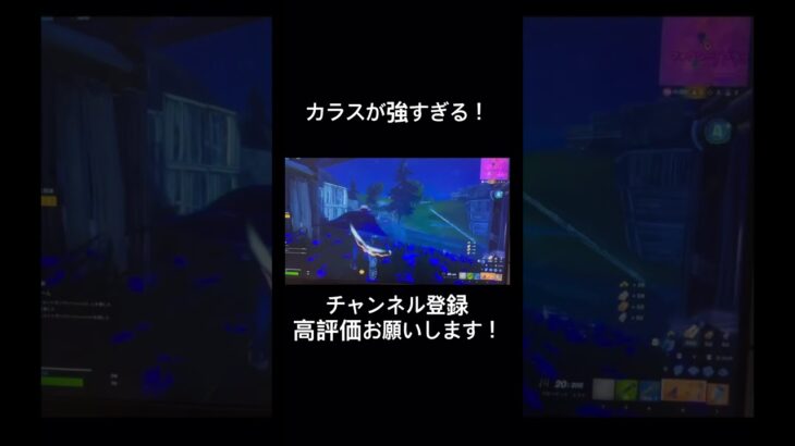 カラスがあったらソロでも大会伸ばせます！ #フォートナイト #fortnite #shorts