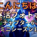 【昼活】フォートナイト
