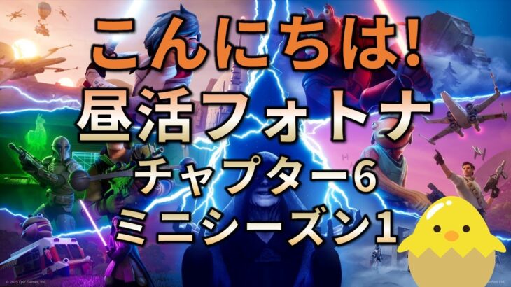 【昼活】フォートナイト