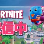 【雑談配信】なんとなく１時間だけソロ天空やらせてください【フォートナイト】　２０２５年６月１１日（水）