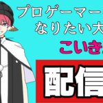 【ソロビクトリーカップ決勝】初めての賞金獲得なるか！？(第3回)　【フォートナイト】