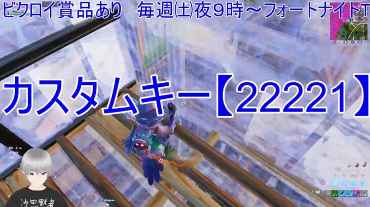 【フォートナイト】 ビクロイで800V！TKJカスタム2試合(ソロ・通常マッチ、デュオリロード)