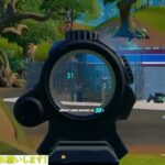 ぴよきんメモリー🐥👾🎥【フォートナイト/FORTNITE】